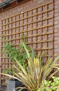 Square Trellis – 6 ft wide